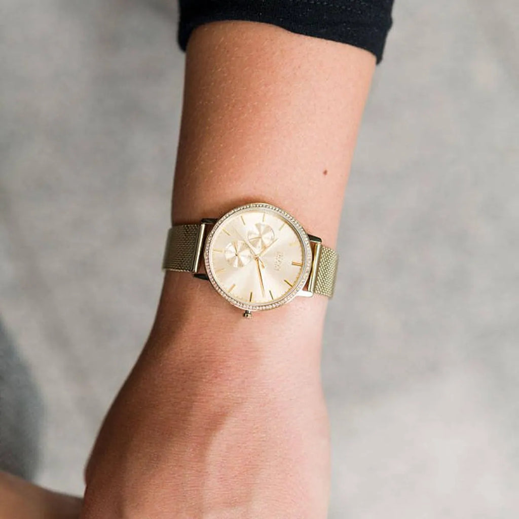 Hugo Boss Watch For Women 1502520