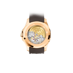 Aquanaut MASTER QUALITY