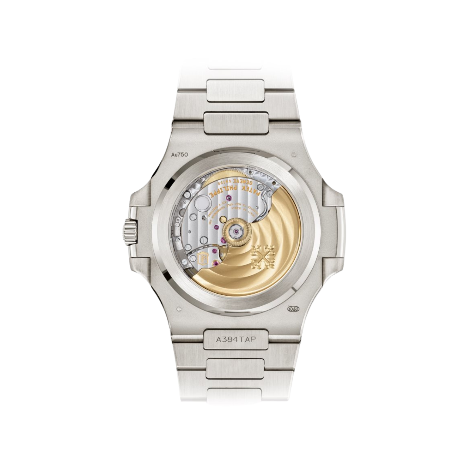 Nautilus MASTER QUALITY
